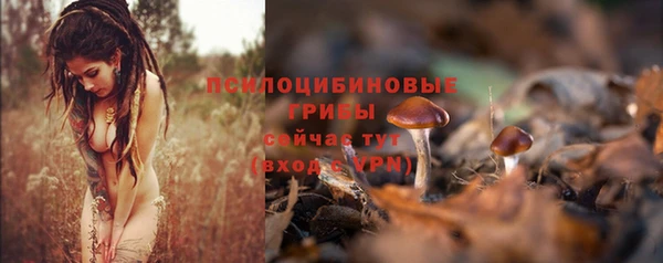 не бодяженный Гусиноозёрск
