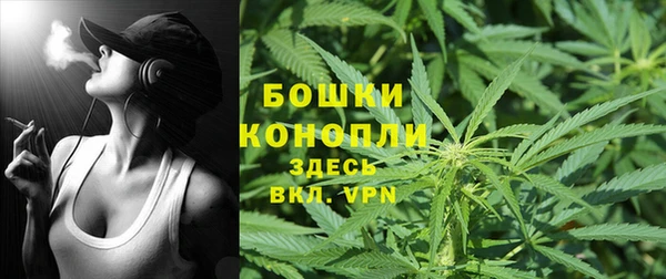 не бодяженный Гусиноозёрск