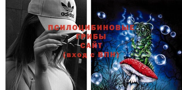 ПСИЛОЦИБИНОВЫЕ ГРИБЫ Бабаево